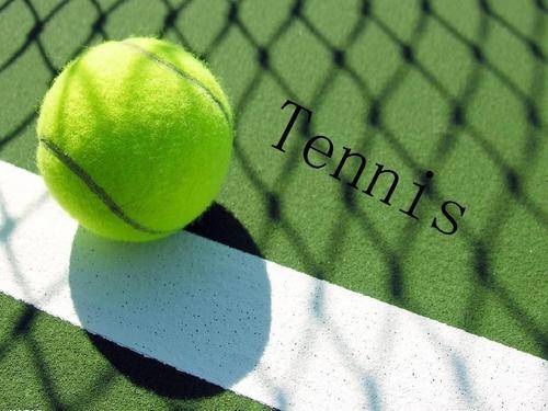 场组织点 场组织点