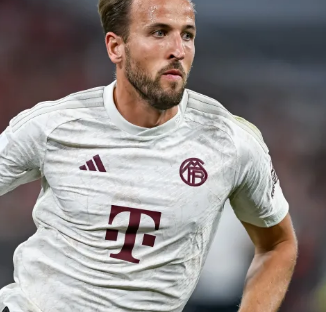 反观东契奇 反观东契奇